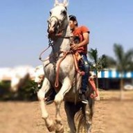 Rajat baldha