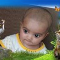 Saman Irfan