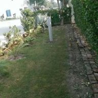 Asifa_15