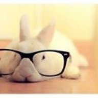 get smarty