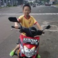 vinlee