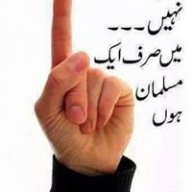 Talha boss