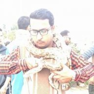Aamir Hafeez