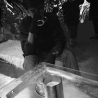 SilverBearFish