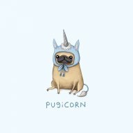 Chelsea.K
