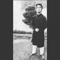 Ali Naveed