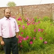 hussnain ali
