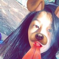 trivie_