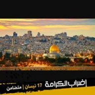 mohammad majed