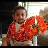 akshaysegu