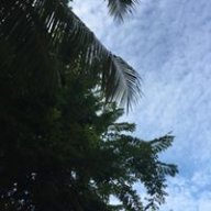 Sanadah