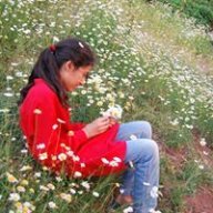 Ayla hgj