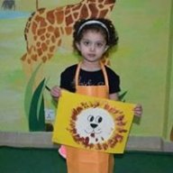 Aylak240