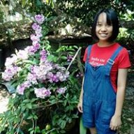 Hy Wong