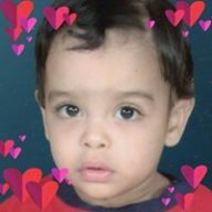 mostafa elshimy