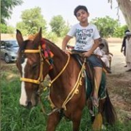 shamshair