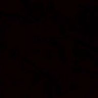 Alez16