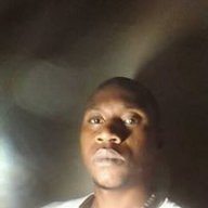 moolar