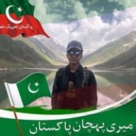 M. Rafay Rafique