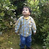 Shihab7861
