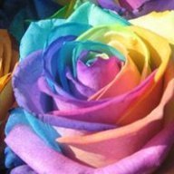 doaa_zakaria