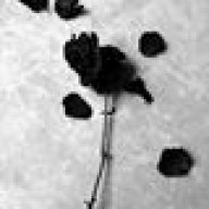 Ahla Haider