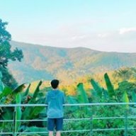 shinkook