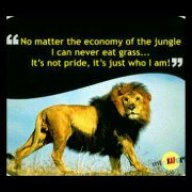 kingfred mukamba