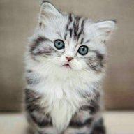 Moonaa