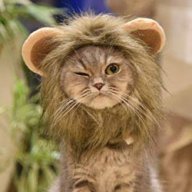i.leik.kats