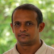 dhammikai