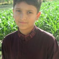Wali kals