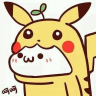 hijgvalrskfz