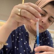 Dina dody