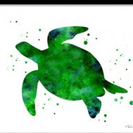 Turtles_Captain