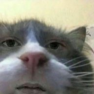 usajwbwj