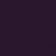 fizwiz