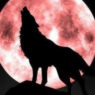 SoulWolf