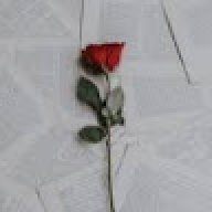 Rosean_4