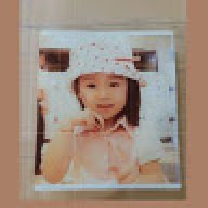 Dobby Potter 2005