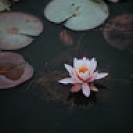 Iqra_Malik