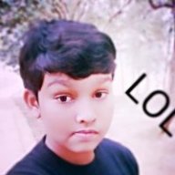 LIM MJ