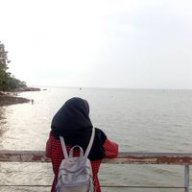 mzsyhrhzrm