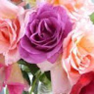 manahil2453