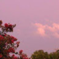 artemis_hrss224