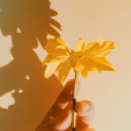 honeyxscent