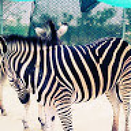 Zaid2323