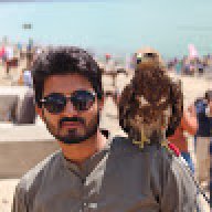Tariqmalik