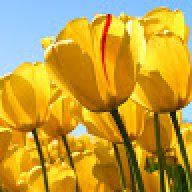 Testprep05