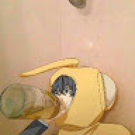 Cap.levi